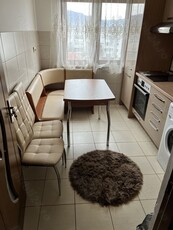 Apartament de vânzare 2 camere și bucătărie.