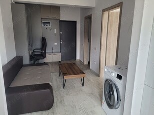 Apartament mobilat si utilat 2 camere Str Biruintei