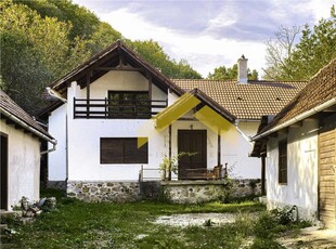 Casa cu padure de vanzare in Savarsini