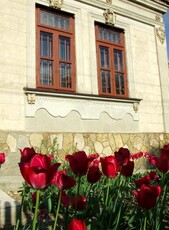 Casa de Epoca din Caramida - Comuna Nicolae Balcescu - Constanta