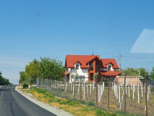 Casa Gruiu, Calarasi, Villa for two families near 20 km Buch