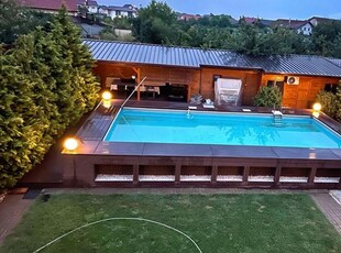 Casa Individuala Sacalaz,P+E,Zona Ultrcentrala,6 Camere,Finisaje De Lux,Piscina