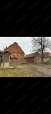 Casa judetul Timiș de vânzare