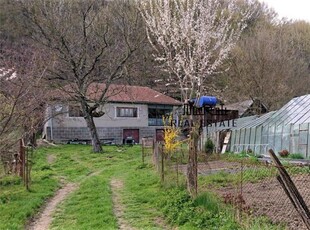 Casa si 3919 mp teren intravilan in Bucuresci, jud. Hunedoara