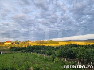 Casa/Vila de vanzare / posibil Pensiune ,cu view și pădure la colțul străzii