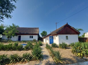 Delta Dunarii, Romania, localitatea LETEA, proprietate de VIS,