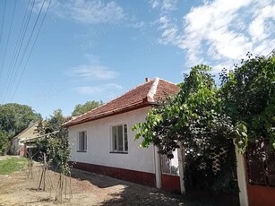 Direct proprietar - casa de vanzare, Gottlob, judetul Timis