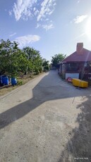 Livadă 600pomi de 12 ani,cu casa 2camere,baie ,bucătărie,10000mp