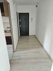 Proprietar, vând apartament 2 camere, et. 3, baie, bucătărie mare, 2 holuri, două debarale, balcon