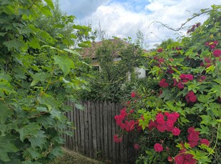 Schimb Vând teren plus o casa (gaze,apa,curent)