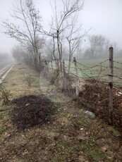 Teren intravilan de vanzare in loc Romanu jud Braila