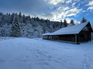 Vand casa de vacanta comuna Lunca Bradului, sat Salard