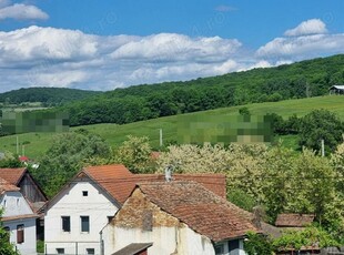 Vand casa in zona comunei Somartin, jud. Sibiu