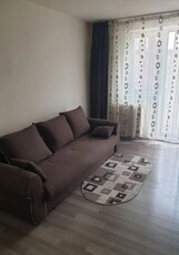 AP 2 CAMERE P-TA RESITA, BUCATARIE INCHISA, PET-FRIENDLY, CURAT, LIBER