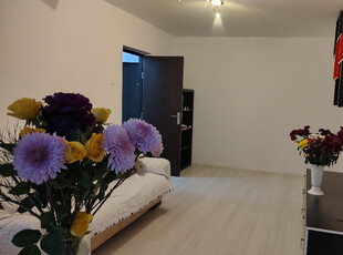 Apartament 2 camere Bvd. Obregia