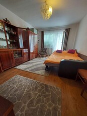 Apartament renovat, cu 2 Camere in Zona Plopilor