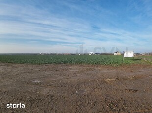 Teren de vanzare Constanta zona veterani km 5