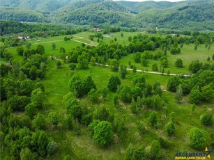 Film! In cadru natural impresionat, 14.000mp, cu destinatie agroturistica, Sinca Noua, Brasov