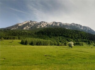 FILM! Terenul care iti dezvaluie privelisti mirifice catre Piatra Craiului, in Plaiul Foii