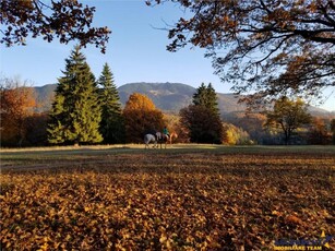 Teren pe 1.800mp, Poiana Mica, Brasov