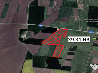 Teren 29.31 ha in Simand - ID : RH-30812-property