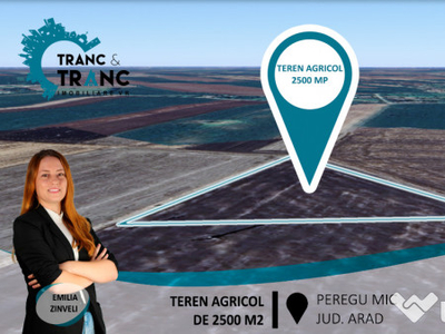 Teren agricol de 2500 m2,în Peregu Mic(ID:28594)