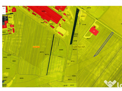 Teren extravilan 7865mp Slatina, vecinatati DEx12 Craiova - Pitești