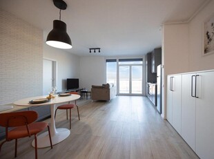 Apartament 2 camere in ARED City.