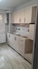 Apartament 2 camere, recent renovat, parter, Banat