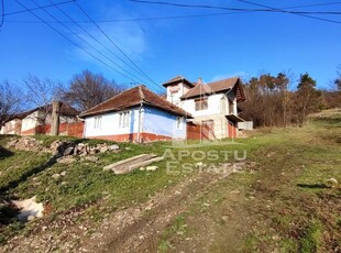 Casa de vanzare 9 incaperi, vedere panoramica, Sebis