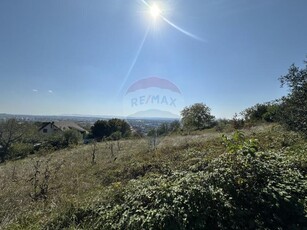 Opotunitate - Teren Baia Mare / Strada Miron Costin