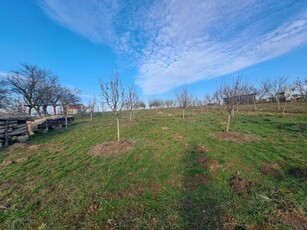 Teren cu casa, 3090 mp, la 10 minute de Oradea, Bihor