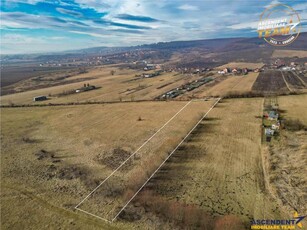 Teren extravilan de 5.800 mp in Sfantu Gheorghe:oportunitate Investie/Exploatare agricola