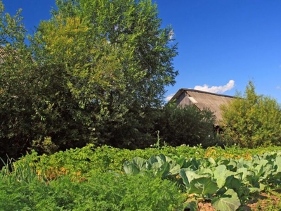 Loc de casă 2500mp loc.Călineşti,Bucecea