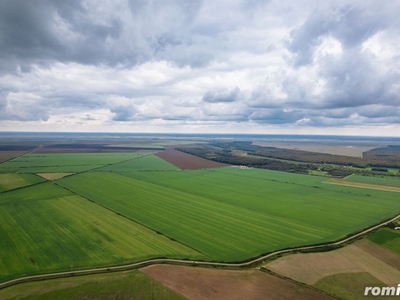 Teren arabil de 207,79 hectare în Craiva