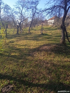 Teren casă Valea Danului, Argeș