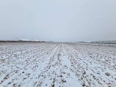 Teren industrial de vanzare in Stupini