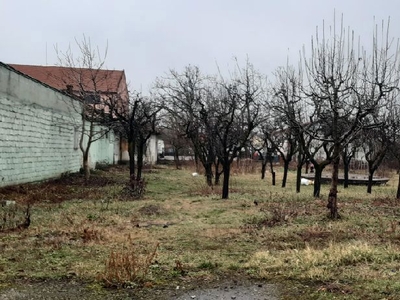 vand casa cu teren 17 arii strada fabricii