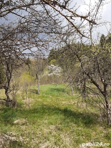 vand casa si gradina