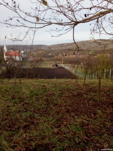 vand gradina, teren agricol si livada, central, totul intabulat 3.000mp