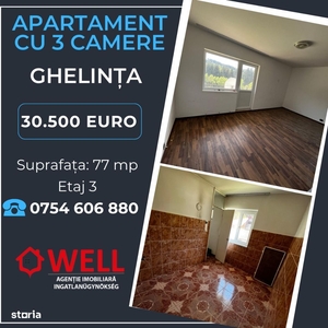 Apartament 3 camere