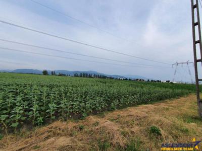 50.000 mp teren, Ghimbav, Brasov