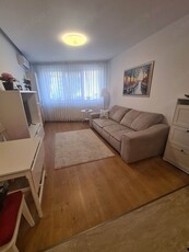 Apartament 2 camere de inchiriat Metalurgiei - Drumul Binelui