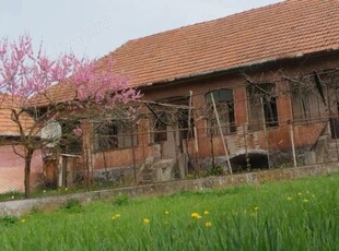 Casă de vinzare .Gradina este cadou