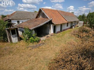 Casa cu teren generos in Peregu Mic