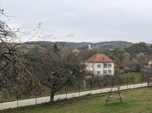 Casa Vilă de vanzare, reședință, fermă, Argeș - Valea Topologului. Liniște, natură și aer curat !