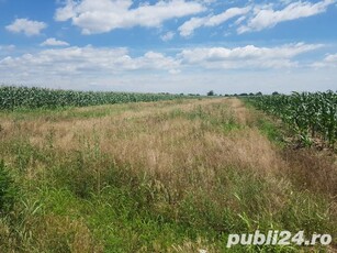 Proprietar vand teren intravilan Preajba