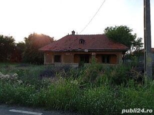 Teren de vânzare, intravilan 2500mp, Dascălu, Ilfov