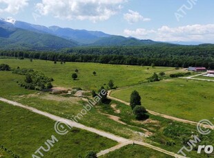 Teren Intravilan 1600 mp in Avrig zona Valea Avrigului