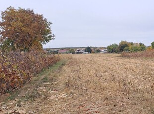 Teren intravilan de vanzare Schineni Bacau